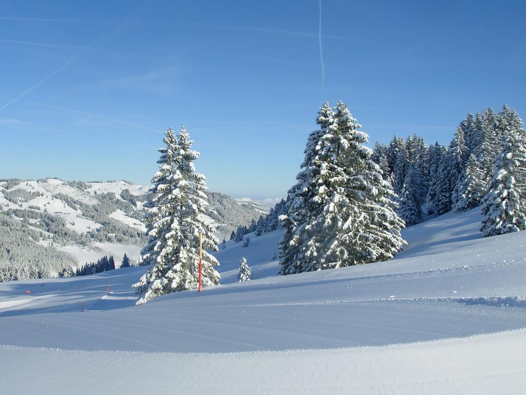Studio Mythen Schwyz Exterior photo